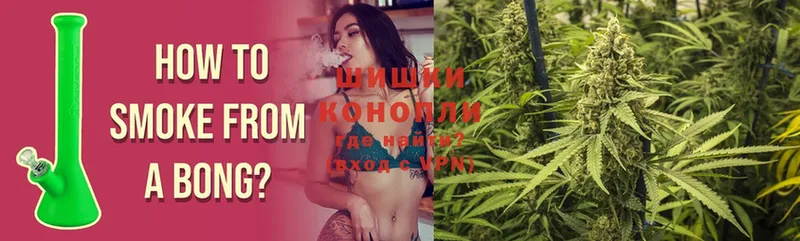 как найти наркотики  Мосальск  Бошки марихуана SATIVA & INDICA 